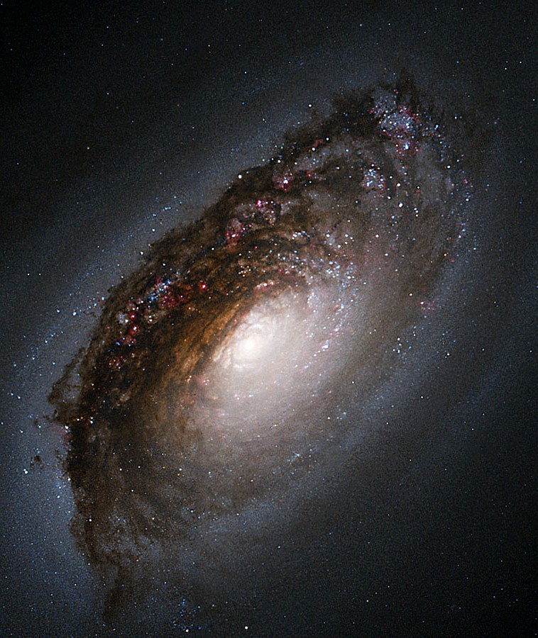 m64apod.jpg