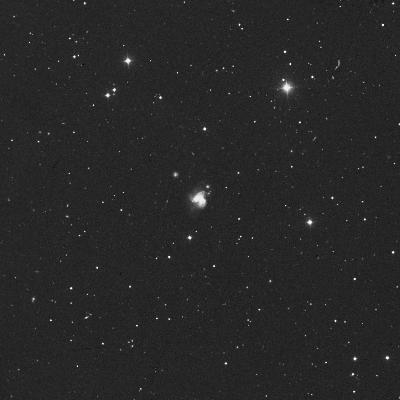 3690-400px.jpg