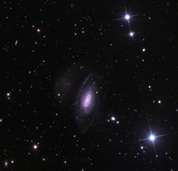 NGC7531.jpg