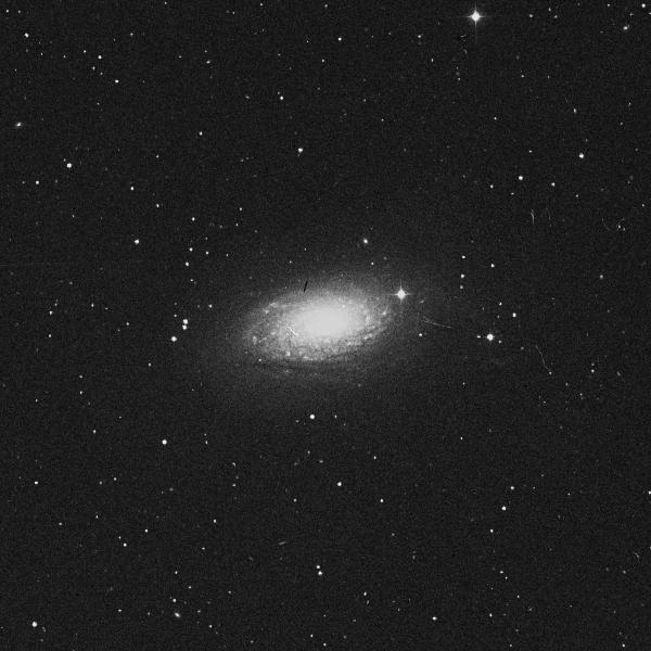 m63.jpg