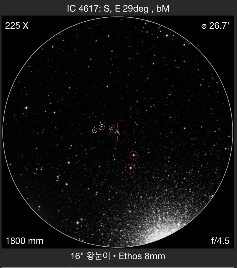 M13-4.jpg