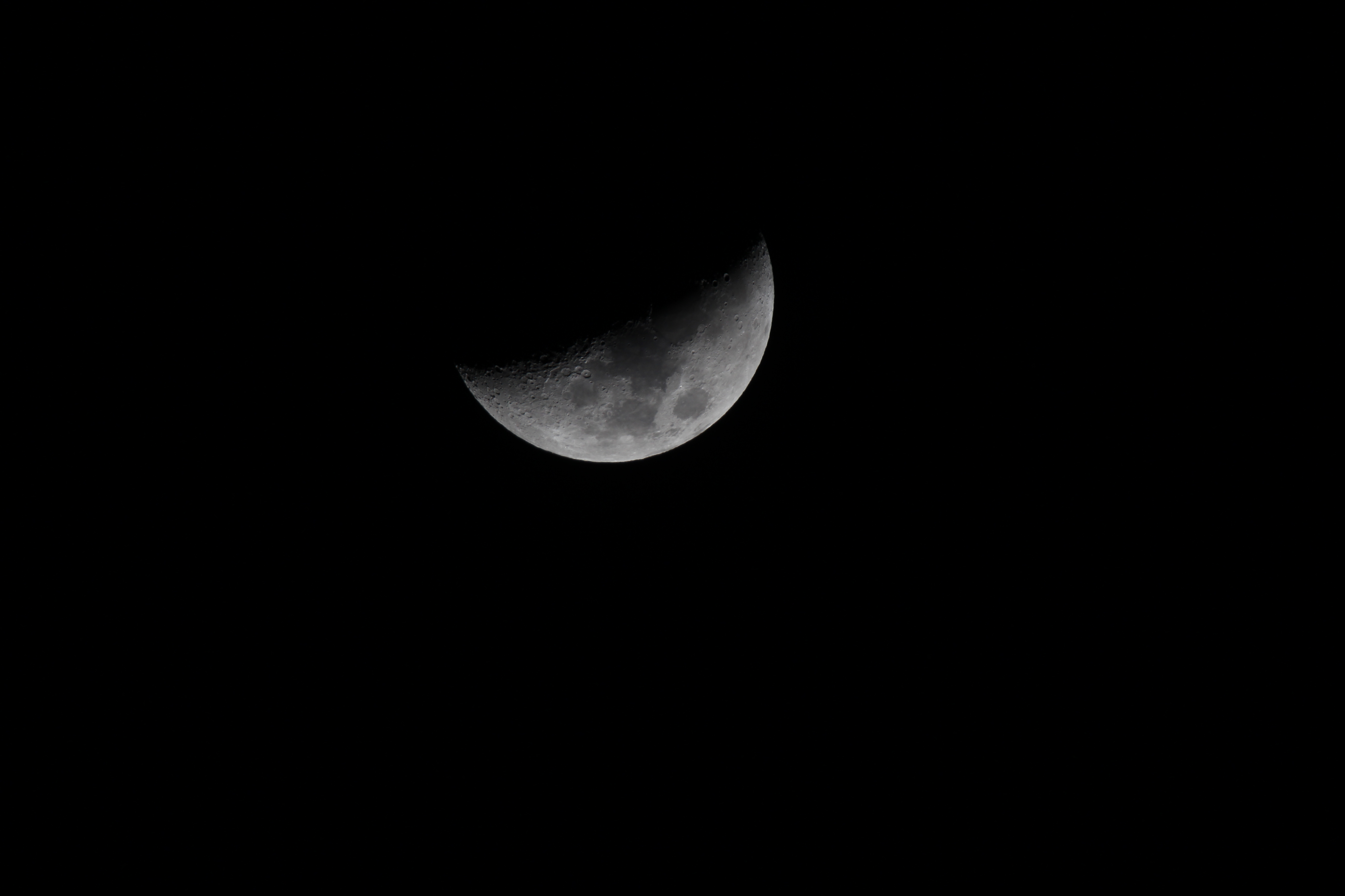 IMG_0461.JPG