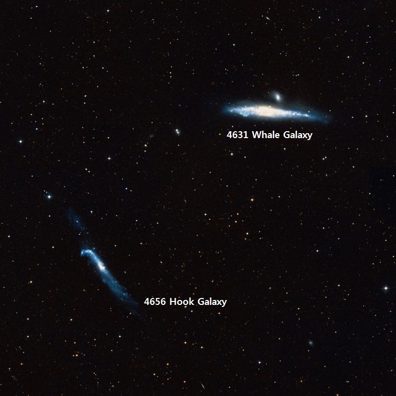 4631 4656.jpg