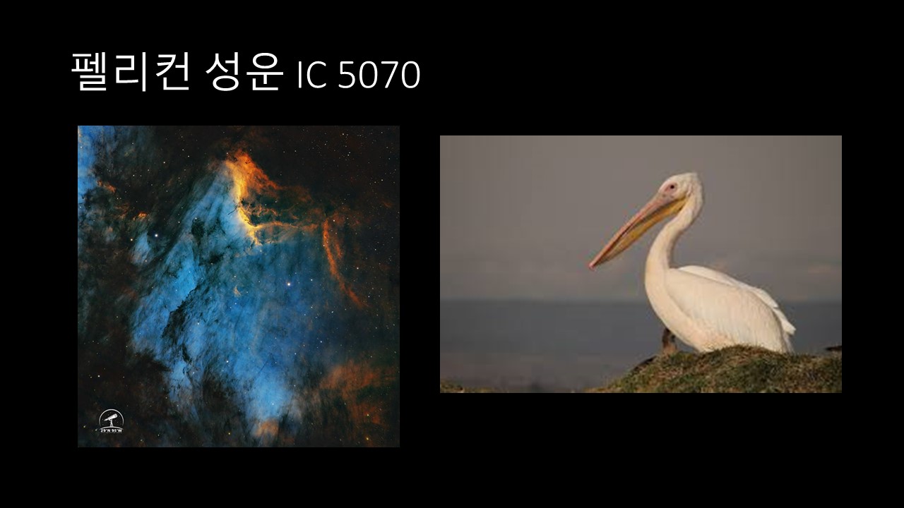 슬라이드7.JPG